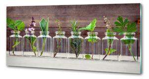 Sticlă printata bucătărie Plantele în borcane