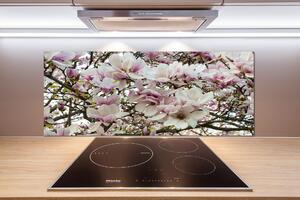 Sticlă bucătărie flori magnolia