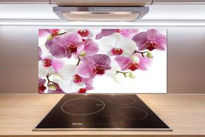 Panou de bucătărie Orhidee
