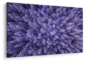 Tablou cu copacii înzăpeziți (90x60 cm)
