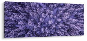 Tablou cu copacii înzăpeziți (120x50 cm)