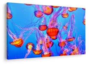Tablou cu meduse în mare (90x60 cm)