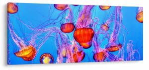 Tablou cu meduse în mare (120x50 cm)