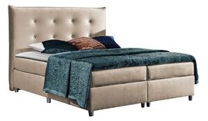 Pat boxspring TitulusBoxspring, Single, Crem, 120x200, Tapiterie, Somiera patSomiera pat, 12x22x13cm