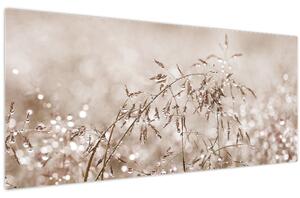 Tablou - Pajiște în tonuri de maro (120x50 cm)