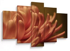 Tablou cu detailu florii (150x105 cm)
