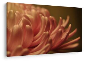 Tablou cu detailu florii (90x60 cm)