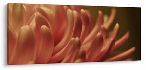 Tablou cu detailu florii (120x50 cm)