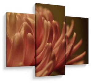 Tablou cu detailu florii (90x60 cm)
