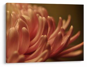 Tablou cu detailu florii (70x50 cm)