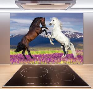 Panou sticlă decorativa bucătărie cai de luptă în avans