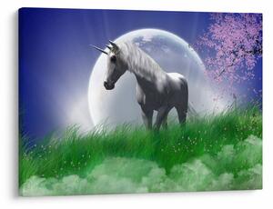 Tablou cu unicorn (70x50 cm)