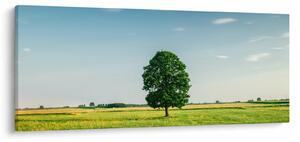 Tablou cu copaci pe luncă (120x50 cm)