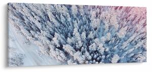 Tablou cu copaci înzăpeziți (120x50 cm)