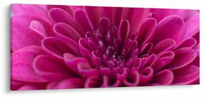 Tablou cu floare (120x50 cm)