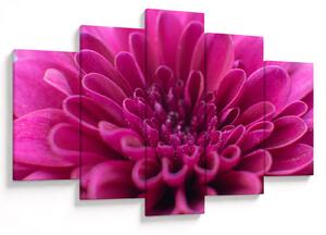 Tablou cu floare (150x105 cm)