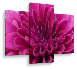 Tablou cu floare (90x60 cm)