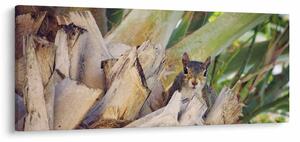 Tablou cu veverița în copaci (120x50 cm)