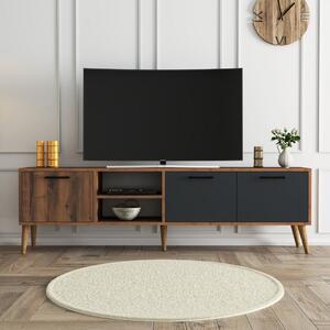 Exxen - 1581