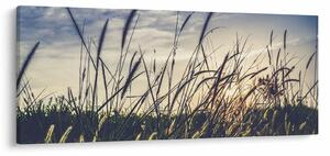 Tablou cu flori de câmp (120x50 cm)