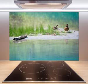 Panou sticlă decorativa bucătărie Ducks de apă