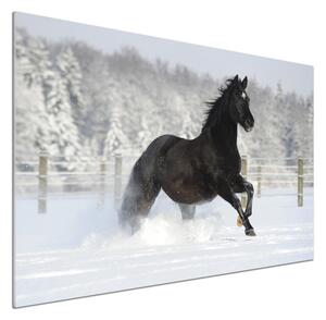 Panou sticla securizata bucatarie Un cal în galop de zăpadă