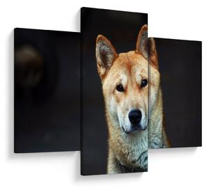Tablou cu câine (90x60 cm)