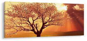 Tablou cu razele lui Dumnezeu (120x50 cm)