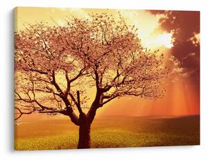 Tablou cu razele lui Dumnezeu (70x50 cm)