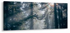 Tablou cu copaci și soarele translucind (120x50 cm)