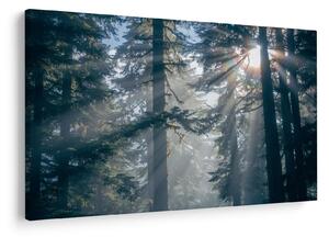 Tablou cu copaci și soarele translucind (90x60 cm)