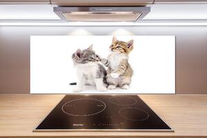 Panou sticlă bucătărie Două pisici de talie mică
