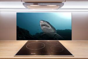 Panou sticlă decorativa bucătărie rechin mare