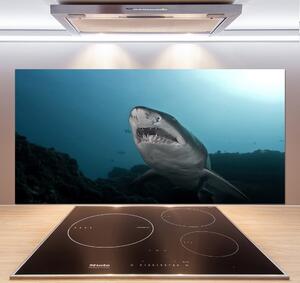Panou sticlă decorativa bucătărie rechin mare