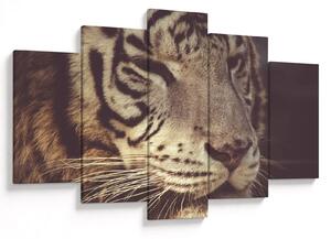 Tablou cu tigrul (150x105 cm)