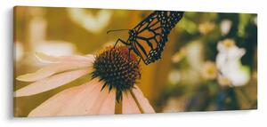 Tablou cu fluture pe floare (120x50 cm)