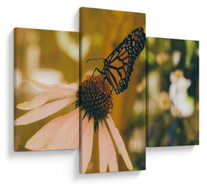 Tablou cu fluture pe floare (90x60 cm)