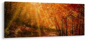 Tablou cu pădurea în toamnă (120x50 cm)