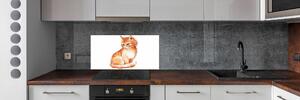 Panou sticlă decorativa bucătărie Red Cat