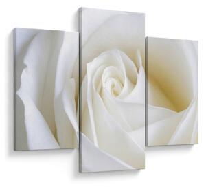 Tablou cu tandafir alb (90x60 cm)