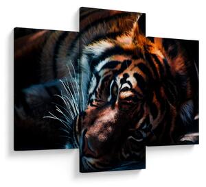 Tablou cu tigrul dormind (90x60 cm)