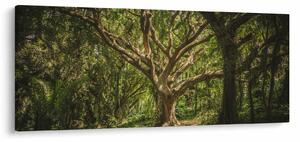 Tablou cu copaci (120x50 cm)