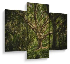 Tablou cu copaci (90x60 cm)