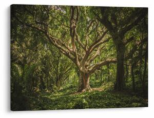 Tablou cu copaci (70x50 cm)
