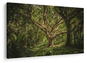 Tablou cu copaci (90x60 cm)