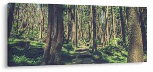 Tablou cu drum între copaci (120x50 cm)
