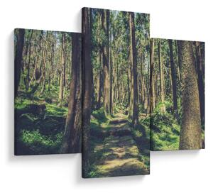 Tablou cu drum între copaci (90x60 cm)