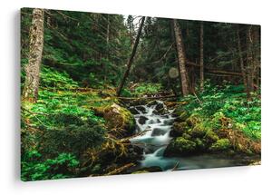 Tablou cu pârău în pădure (90x60 cm)