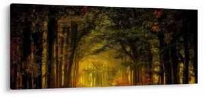 Tablou cu pădure (120x50 cm)