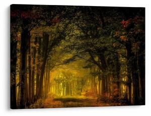 Tablou cu pădure (70x50 cm)